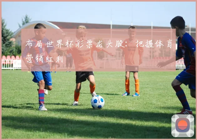 布局世界杯彩票龙头股：把握体育营销红利