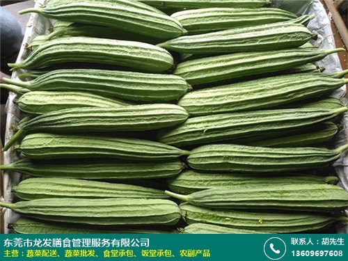 深圳工地蔬菜批发服务工厂直招 龙发膳食，新鲜蔬菜直供，助力高效餐饮