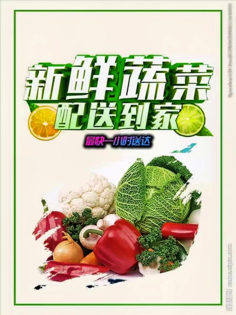 专业蔬菜批发配送服务 为工厂、学校、医院食堂提供新鲜保障