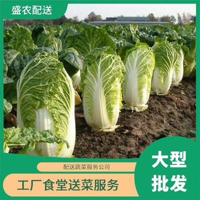 东莞蔬菜配送服务 打通新鲜蔬菜批发直供的“最后一公里”