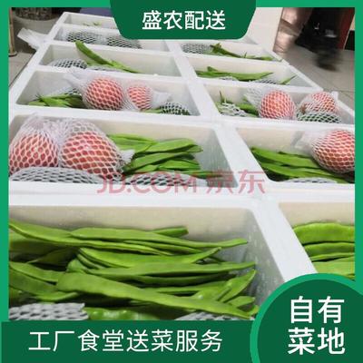 东莞蔬菜配送服务 新鲜蔬菜批发的专业之选